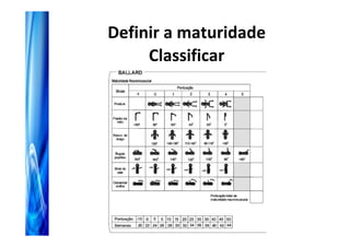 Definir a maturidade
     Classificar
 