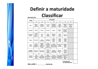 Definir a maturidade
     Classificar
 