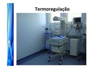 Termoregulação
 