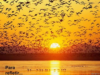 Para 
refletir... 

