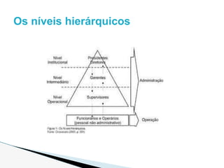 Os níveis hierárquicos
 