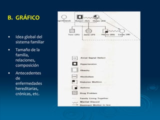 B. GRÁFICO
• Idea global del
sistema familiar
• Tamaño de la
familia,
relaciones,
composición
• Antecedentes
de
enfermedades
hereditarias,
crónicas, etc.
 