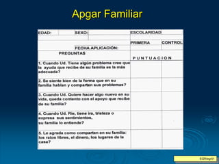 EGR/egr01
Apgar Familiar
 