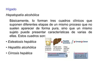 Hígado
Hepatopatía alcohólica
Básicamente, lo forman tres cuadros clínicos que
suponen diferentes etapas de un mismo proceso que no
suelen aparecer de forma pura, sino que un mismo
sujeto puede presentar características de varias de
ellas. Estos cuadros son:
• Esteatosis hepática
• Hepatitis alcohólica
• Cirrosis hepática
 