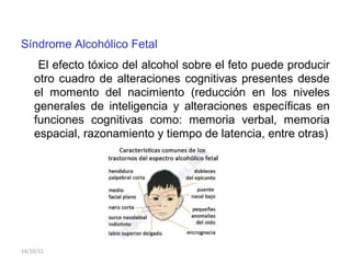 14/10/15
Síndrome Alcohólico Fetal
El efecto tóxico del alcohol sobre el feto puede producir
otro cuadro de alteraciones cognitivas presentes desde
el momento del nacimiento (reducción en los niveles
generales de inteligencia y alteraciones específicas en
funciones cognitivas como: memoria verbal, memoria
espacial, razonamiento y tiempo de latencia, entre otras)
 