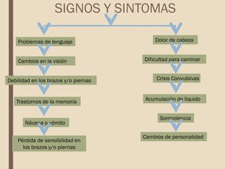 SIGNOS Y SINTOMAS
Crisis Convulsivas
Dolor de cabeza
Problemas de lenguaje
Acumulación de liquido
Dificultad para caminar
Náusea o vómito
Debilidad en los brazos y/o piernas
Cambios en la visión
Somnolencia
Trastornos de la memoria
Cambios de personalidad
Pérdida de sensibilidad en
los brazos y/o piernas
 