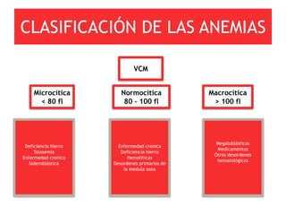 CLASIFICACIÓN DE LAS ANEMIAS

                              VCM


    Microcítica          Normocítica            Macrocítica
      < 80 fl             80 – 100 fl            > 100 fl




                                                  Megaloblásticas
 Deficiencia hierro     Enfermedad cronica
                                                  Medicamentos
     Talasemia           Deficiencia hierro
                                                 Otros desordenes
Enfermedad cronica          Hemolíticas
                                                  hematológicos
   Sideroblástica     Desordenes primarios de
                          la medula osea
 