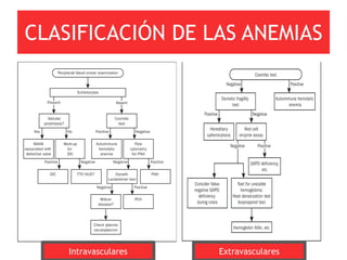 CLASIFICACIÓN DE LAS ANEMIAS




    Intravasculares   Extravasculares
 