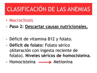 CLASIFICACIÓN DE LAS ANEMIAS
• Macrocitosis
- Paso 2: Descartar causas nutricionales.

- Déficit de vitamina B12 y folato.
- Déficit de folato: Folato sérico
  (Alteración con ingesta reciente de
  folato). Niveles séricos de homocisteina.
- Homocisteina           Metionina
 