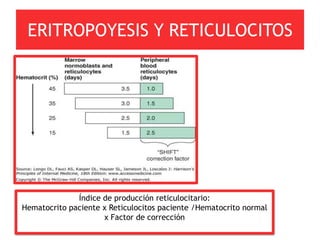 ERITROPOYESIS Y RETICULOCITOS




              Índice de producción reticulocitario:
Hematocrito paciente x Reticulocitos paciente /Hematocrito normal
                     x Factor de corrección
 