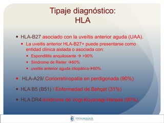 Tipaje diagnóstico:
HLA
 HLA-B27 asociado con la uveítis anterior aguda (UAA).
 La uveitis anterior HLA-B27+ puede presentarse como
entidad clínica aislada o asociada con:
 Espondilitis anquilosante  >90%
 Síndrome de Reiter 60%
 uveítis anterior aguda idiopática60%
 HLA-A29/ Coriorretinopatía en perdigonada (90%)
 HLA B5 (B51) / Enfermedad de Behçet (31%)
 HLA DR4/síndrome de Vogt-Koyanagi-Harada (90%).
 