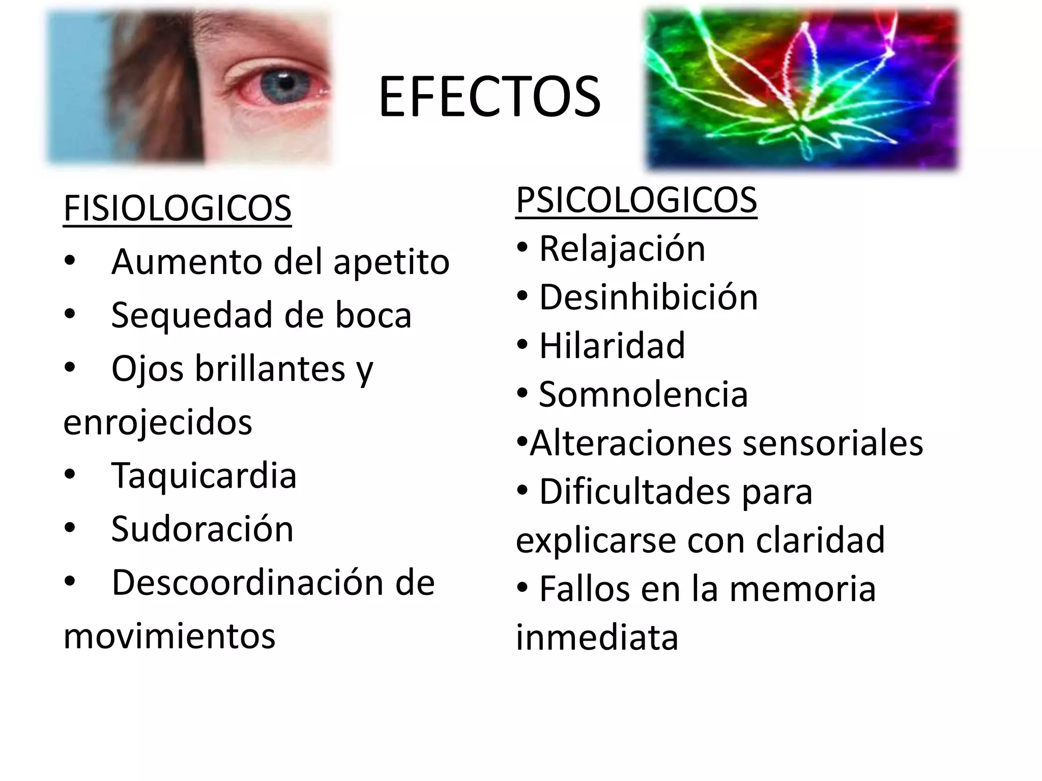 EFECTOS 
FISIOLOGICOS 
• Aumento del apetito 
• Sequedad de boca 
• Ojos brillantes y 
enrojecidos 
• Taquicardia 
• Sudoración 
• Descoordinación de 
movimientos 
PSICOLOGICOS 
• Relajación 
• Desinhibición 
• Hilaridad 
• Somnolencia 
•Alteraciones sensoriales 
• Dificultades para 
explicarse con claridad 
• Fallos en la memoria 
inmediata 
 