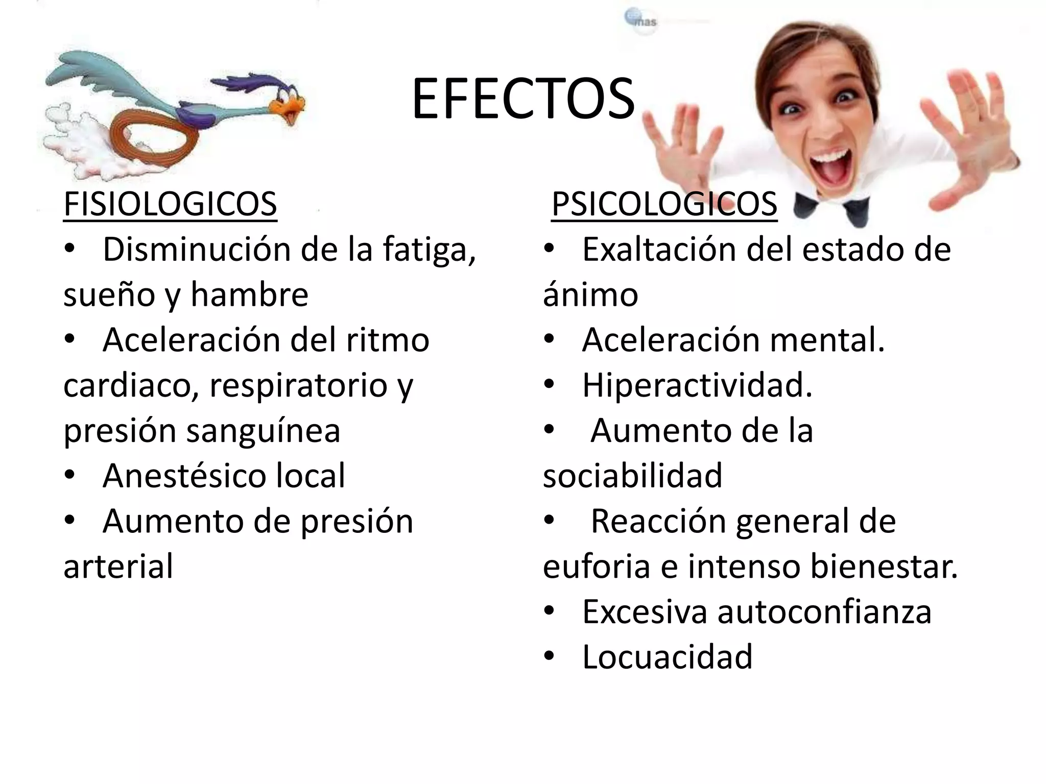 EFECTOS 
FISIOLOGICOS 
• Disminución de la fatiga, 
sueño y hambre 
• Aceleración del ritmo 
cardiaco, respiratorio y 
presión sanguínea 
• Anestésico local 
• Aumento de presión 
arterial 
PSICOLOGICOS 
• Exaltación del estado de 
ánimo 
• Aceleración mental. 
• Hiperactividad. 
• Aumento de la 
sociabilidad 
• Reacción general de 
euforia e intenso bienestar. 
• Excesiva autoconfianza 
• Locuacidad 
 