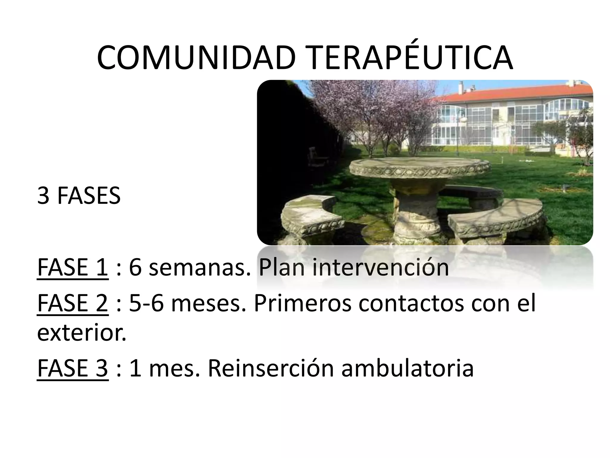 COMUNIDAD TERAPÉUTICA 
3 FASES 
FASE 1 : 6 semanas. Plan intervención 
FASE 2 : 5-6 meses. Primeros contactos con el 
exterior. 
FASE 3 : 1 mes. Reinserción ambulatoria 
 