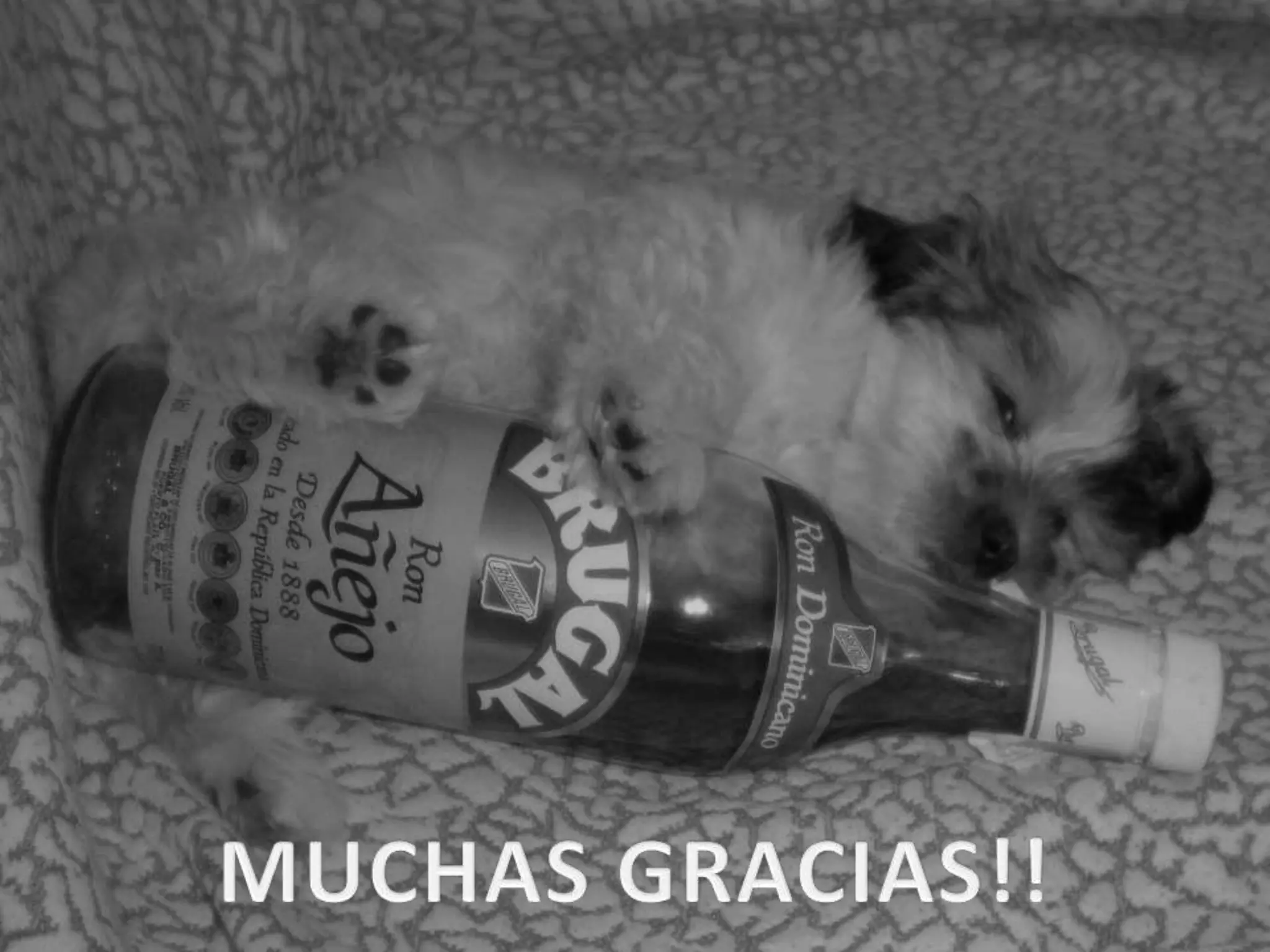 (2014-12-02) ABORDAJE DE TOXICOMANÍAS EN ATENCIÓN PRIMARIA (PPT)