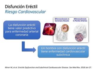 Disfunción Eréctil
Riesgo Cardiovascular
La disfunción eréctil
tiene valor predictivo
para enfermedad arterial
coronaria
Un hombre con disfunción eréctil
tiene enfermedad cardiovascular
subclínica
Miner M, et al. Erectile Dysfunction and Subclinical Cardiovascular Disease. Sex Med Rev. 2018 Jan 27.
 