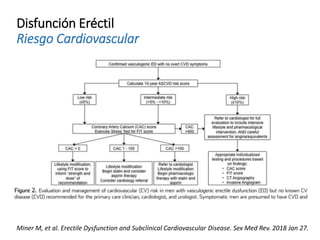 Disfunción Eréctil
Riesgo Cardiovascular
Miner M, et al. Erectile Dysfunction and Subclinical Cardiovascular Disease. Sex Med Rev. 2018 Jan 27.
 