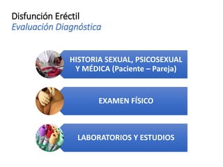 Disfunción Eréctil
Evaluación Diagnóstica
HISTORIA SEXUAL, PSICOSEXUAL
Y MÉDICA (Paciente – Pareja)
EXAMEN FÍSICO
LABORATORIOS Y ESTUDIOS
 