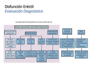 Disfunción Eréctil
Evaluación Diagnóstica
 