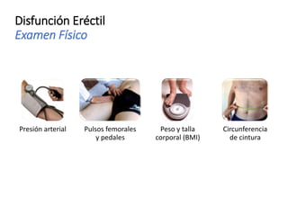 Disfunción Eréctil
Examen Físico
Presión arterial Pulsos femorales
y pedales
Peso y talla
corporal (BMI)
Circunferencia
de cintura
 