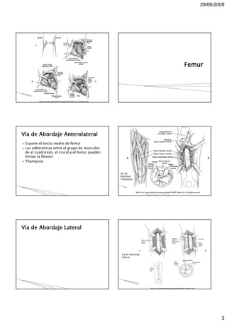 2$                 !
     +
               0       !
         ! $
 +


                           (
                           6#   )
                            +




                           (        6#   )
 