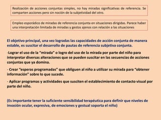 abordaje IDEA (intervencion y objetivos por dimención).pdf