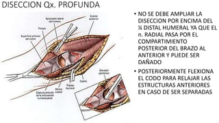 DISECCION Qx. PROFUNDA
• NO SE DEBE AMPLIAR LA
DISECCION POR ENCIMA DEL
¼ DISTAL HUMERAL YA QUE EL
n. RADIAL PASA POR EL
COMPARTIMIENTO
POSTERIOR DEL BRAZO AL
ANTERIOR Y PUEDE SER
DAÑADO
• POSTERIORMENTE FLEXIONA
EL CODO PARA RELAJAR LAS
ESTRUCTURAS ANTERIORES
EN CASO DE SER SEPARADAS
 
