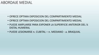 ABORDAJE MEDIAL
• OFRECE OPTIMA EXPOSICION DEL COMPARTIMIENTO MEDIAL
• OFRECE OPTIMA EXPOSICION DEL COMPARTIMIENTO MEDIAL
• PUEDE AMPLIARSE PARA EXPONER LA SUPERFICIE ANTERIOR DEL ¼
DISTAL HUMERAL
• PUEDE LESIONARSE n. CUBITAL – n. MEDIANO - a. BRAQUIAL
 