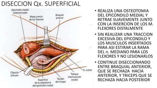 • REALIZA UNA OSTEOTOMIA
DEL EPICONDILO MEDIAL Y
RETRAE SUAVEMENTE JUNTO
CON LA INSERCION DE LOS M.
FLEXORES DISTALMENTE
• SIN REALIZAR UNA TRACCION
EXCESIVA DEL EPICONDILO Y
LOS MUSCULOS INSERTADOS
PARA ASI ESTIRAR LA RAMA
DEL n. MEDIANO PARA LOS
FLEXORES Y NO LESIONARLOS
• CONTINUE DISECCIONANDO
ENTRE BRAQUIAL ANTERIOR,
QUE SE RECHAZA HACIA
ANTERIOR, Y TRICEPS QUE SE
RECHAZA HACIA POSTERIOR
DISECCION Qx. SUPERFICIAL
 