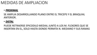 MEDIDAS DE AMPLIACION
• PROXIMAL
SE AMPLIA DESARROLLANDO PLANO ENTRE EL TRICEPS Y EL BRAQUIAL
ANTERIOR.
• DISTAL
PUEDE RETRAERSE EPICODILO MEDIAL JUNTO A LOS M. FLEXORES QUE SE
INSERTAN EN EL, SOLO HASTA DONDE PERMITA N. MEDIANO Y SUS RAMAS
 