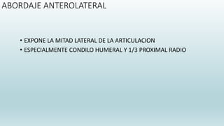 ABORDAJE ANTEROLATERAL
• EXPONE LA MITAD LATERAL DE LA ARTICULACION
• ESPECIALMENTE CONDILO HUMERAL Y 1/3 PROXIMAL RADIO
 