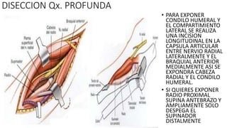 • PARA EXPONER
CONDILO HUMERAL Y
EL COMPARTIMIENTO
LATERAL SE REALIZA
UNA INCISION
LONGITUDINAL EN LA
CAPSULA ARTICULAR
ENTRE NERVIO RADIAL
LATERALMENTE Y EL
BRAQUIAL ANTERIOR
MEDIALMENTE ASI SE
EXPONDRA CABEZA
RADIAL Y EL CONDILO
HUMERAL.
• SI QUIERES EXPONER
RADIO PROXIMAL
SUPINA ANTEBRAZO Y
AMPLIAMENTE SOLO
DESPEGA EL
SUPINADOR
DISTALMENTE
DISECCION Qx. PROFUNDA
 