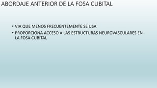 ABORDAJE ANTERIOR DE LA FOSA CUBITAL
• VIA QUE MENOS FRECUENTEMENTE SE USA
• PROPORCIONA ACCESO A LAS ESTRUCTURAS NEUROVASCULARES EN
LA FOSA CUBITAL
 