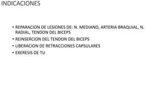 INDICACIONES
• REPARACION DE LESIONES DE: N. MEDIANO, ARTERIA BRAQUIAL, N.
RADIAL, TENDON DEL BICEPS
• REINSERCION DEL TENDON DEL BICEPS
• LIBERACION DE RETRACCIONES CAPSULARES
• EXERESIS DE TU
 