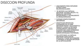 DISECCION PROFUNDA
• UNICAMENTE PARA EXPLORAR
ESTRUCTURAS
NEUROVASCULARES
• SE ACCEDE A LA CAPSULA
ANTERIOR, RETRAES BICEPS Y EL
BRAQUIAL ANTERIOR
MEDIALMENTE Y LATERALMENTE
AL BRAQUIORRADIAL
• SUPINAR COMPLETAMENTE
ANTEBRAZO
• IDENTIFICAR ORIGEN DEL
SUPINADOR EN LA CARA
ANTERIOR RADIO Y SECCIONAR SU
ORIGEN Y LUEGO SE RECHAZA
LATERALMENTE CON MUCHO
CUIDADO (NO USAR SEPARADOR
PORQUE COMPRIMIRIAS EL
NERVIO INTEROSEO POSTERIOR)
• YA A ESTE NIVEL LA CAPSULA
ANTERIOR CODO QUEDA
EXPUESTA Y PUEDE SECCIONARSE
Y EXPONER LA REGION ANTERIOR
DE LA ARTICULACION
 