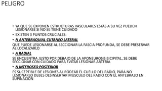 PELIGRO
• YA QUE SE EXPONEN ESTRUCTURAS VASCULARES ESTAS A SU VEZ PUEDEN
LESIONARSE SI NO SE TIENE CUIDADO
• EXISTEN 3 PUNTOS CRUCIALES:
• N ANTEBRAQUIAL CUTANEO LATERAL
QUE PUEDE LESIONARSE AL SECCIONAR LA FASCIA PROFUNDA, SE DEBE PRESERVAR
AL LOCALIZARLO
• A RADIAL
SE ENCUENTRA JUSTO POR DEBAJO DE LA APONEUROSIS BICIPITAL, SE DEBE
SECCIONAR CON CUIDADO PARA EVITAR LESIONAR ARTERIA
• N INTEROSEO POSTERIOR
ES SUCEPTIBLE DE LESIONES AL RODEAR EL CUELLO DEL RADIO, PARA NO
LESIONARLO DEBES DESINSERTAR MUSCULO DEL RADIO CON EL ANTEBRAZO EN
SUPINACION
 