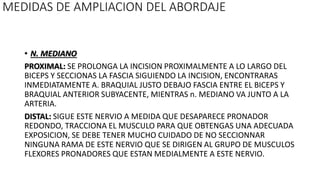 MEDIDAS DE AMPLIACION DEL ABORDAJE
• N. MEDIANO
PROXIMAL: SE PROLONGA LA INCISION PROXIMALMENTE A LO LARGO DEL
BICEPS Y SECCIONAS LA FASCIA SIGUIENDO LA INCISION, ENCONTRARAS
INMEDIATAMENTE A. BRAQUIAL JUSTO DEBAJO FASCIA ENTRE EL BICEPS Y
BRAQUIAL ANTERIOR SUBYACENTE, MIENTRAS n. MEDIANO VA JUNTO A LA
ARTERIA.
DISTAL: SIGUE ESTE NERVIO A MEDIDA QUE DESAPARECE PRONADOR
REDONDO, TRACCIONA EL MUSCULO PARA QUE OBTENGAS UNA ADECUADA
EXPOSICION, SE DEBE TENER MUCHO CUIDADO DE NO SECCIONNAR
NINGUNA RAMA DE ESTE NERVIO QUE SE DIRIGEN AL GRUPO DE MUSCULOS
FLEXORES PRONADORES QUE ESTAN MEDIALMENTE A ESTE NERVIO.
 