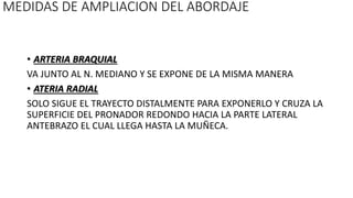 • ARTERIA BRAQUIAL
VA JUNTO AL N. MEDIANO Y SE EXPONE DE LA MISMA MANERA
• ATERIA RADIAL
SOLO SIGUE EL TRAYECTO DISTALMENTE PARA EXPONERLO Y CRUZA LA
SUPERFICIE DEL PRONADOR REDONDO HACIA LA PARTE LATERAL
ANTEBRAZO EL CUAL LLEGA HASTA LA MUÑECA.
MEDIDAS DE AMPLIACION DEL ABORDAJE
 
