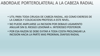 ABORDAJE PORTEROLATERAL A LA CABEZA RADIAL
• UTIL PARA TODA CIRUGIA DE CABEZA RADIAL, ASI COMO EXERESIS DE
LA CABEZA Y COLOCACION PROTESIS A ESTE NIVEL.
• NO PUEDE AMPLIARSE LA INCISION POR DEBAJO LIGAMENTO
ANULAR SIN EL RIESGO LESIONAR n. INTEROSEO POSTERIOR.
• POR ESA RAZON SE DEBE EVITAR A TODA COSTA PROLONGAR LA
INCISION HACIA LA PARTE MAS PROXIMAL DIAFISIS RADIAL
 