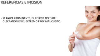 REFERENCIAS E INCISION
• SE PALPA PROMINENTE. EL RELIEVE OSEO DEL
OLECRANON EN EL EXTREMO PROXIMAL CUBITO.
 