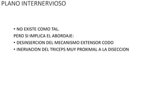 PLANO INTERNERVIOSO
• NO EXISTE COMO TAL.
PERO SI IMPLICA EL ABORDAJE:
• DESINSERCION DEL MECANISMO EXTENSOR CODO
• INERVACION DEL TRICEPS MUY PROXIMAL A LA DISECCION
 