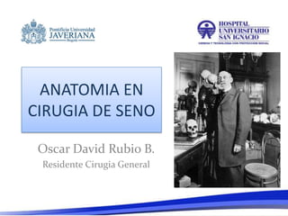 ANATOMIA EN
CIRUGIA DE SENO
Oscar David Rubio B.
Residente Cirugia General

 