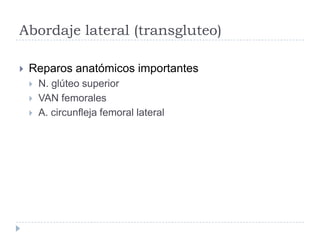 Abordaje lateral (transgluteo)
 Reparos anatómicos importantes
 N. glúteo superior
 VAN femorales
 A. circunfleja femoral lateral
 