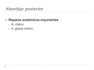 Abordaje posterior
 Reparos anatómicos importantes
 N. ciático
 A. glútea inferior
 