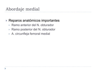 Abordaje medial
 Reparos anatómicos importantes
 Ramo anterior del N. obturador
 Ramo posterior del N. obturador
 A. circunfleja femoral medial
 