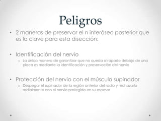 Peligros
• 2 maneras de preservar el n interóseo posterior que
  es la clave para esta disección:

• Identificación del nervio
   o La única manera de garantizar que no queda atrapado debajo de una
     placa es mediante la identificación y preservación del nervio



• Protección del nervio con el músculo supinador
   o Despegar el supinador de la región anterior del radio y rechazarlo
     radialmente con el nervio protegido en su espesor
 