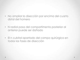 • No ampliar la disección por encima del cuarto
  distal del húmero

• N radial pasa del compartimento posterior al
  anterior puede ser dañado

• El n cubital apartado del campo quirúrgico en
  todas las fases de disección
 