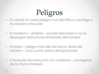 Peligros
• N cubital no corre peligro si se identifica y protege y
  no excesiva tracción

• N mediano – anterior – puede lesionarse si no se
  despegan estructuras anteriores del húmero

• N radial – peligro más allá del tercio distal del
  húmero – una cuarta arriba del epicóndilo

• A braquial discurre junto al n mediano – protegerse
  de la misma manera
 