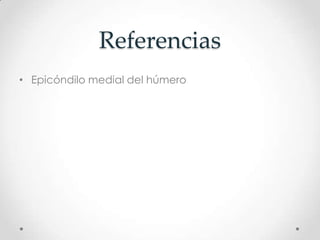 Referencias
• Epicóndilo medial del húmero
 