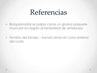 Referencias
• Braquiorradial se palpa como un grueso paquete
  muscular en región anterolateral de antebrazo

• Tendón del bíceps – banda tensa en cara anterior
  del codo
 